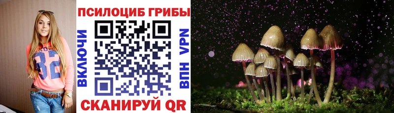 Галлюциногенные грибы MAGIC MUSHROOMS  как найти   Тверь 
