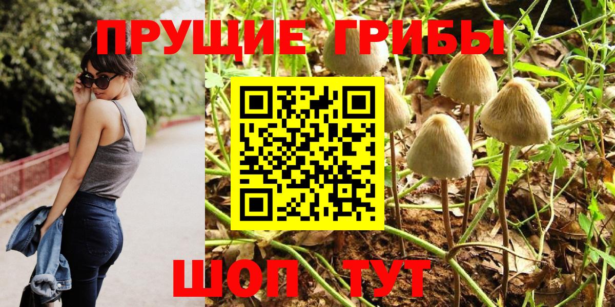 Тверь  Псилоцибиновые грибы Psilocybine cubensis  где можно купить   Псилоцибиновые грибы мухоморы  Вход с VPN 