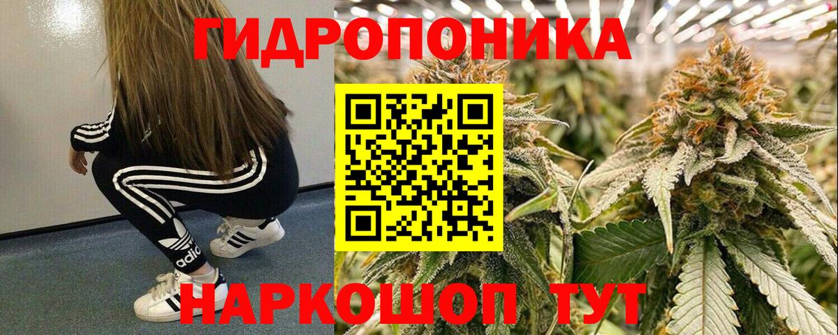 Канабис семена Тверь